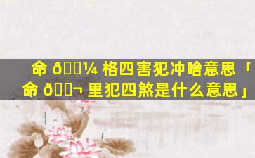 命 🐼 格四害犯冲啥意思「命 🐬 里犯四煞是什么意思」